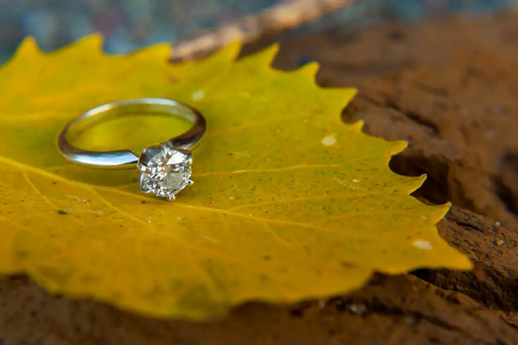 Autumn Theme Engagement Rings